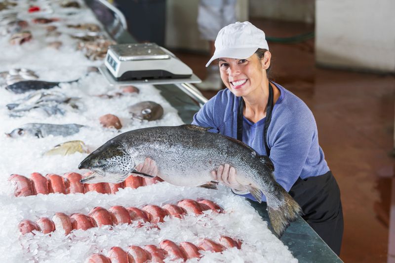 Small business owner - mixed race woman working in a seafood market. She is smiling at the camera, standing next to a display of raw fish on ice, holding up a large one.  She is Caucasian, Hispanic and Asian.