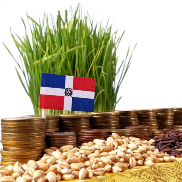 bandera dominicana sembrada en dinero y frijoles, al fondo caña