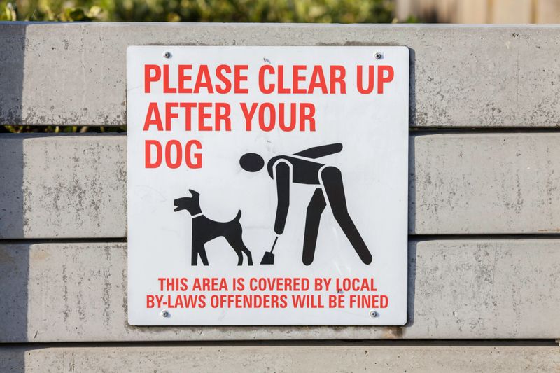 Please clear up after your dog. A written sign with an image of a responsible pet owner cleaning up after their dog.