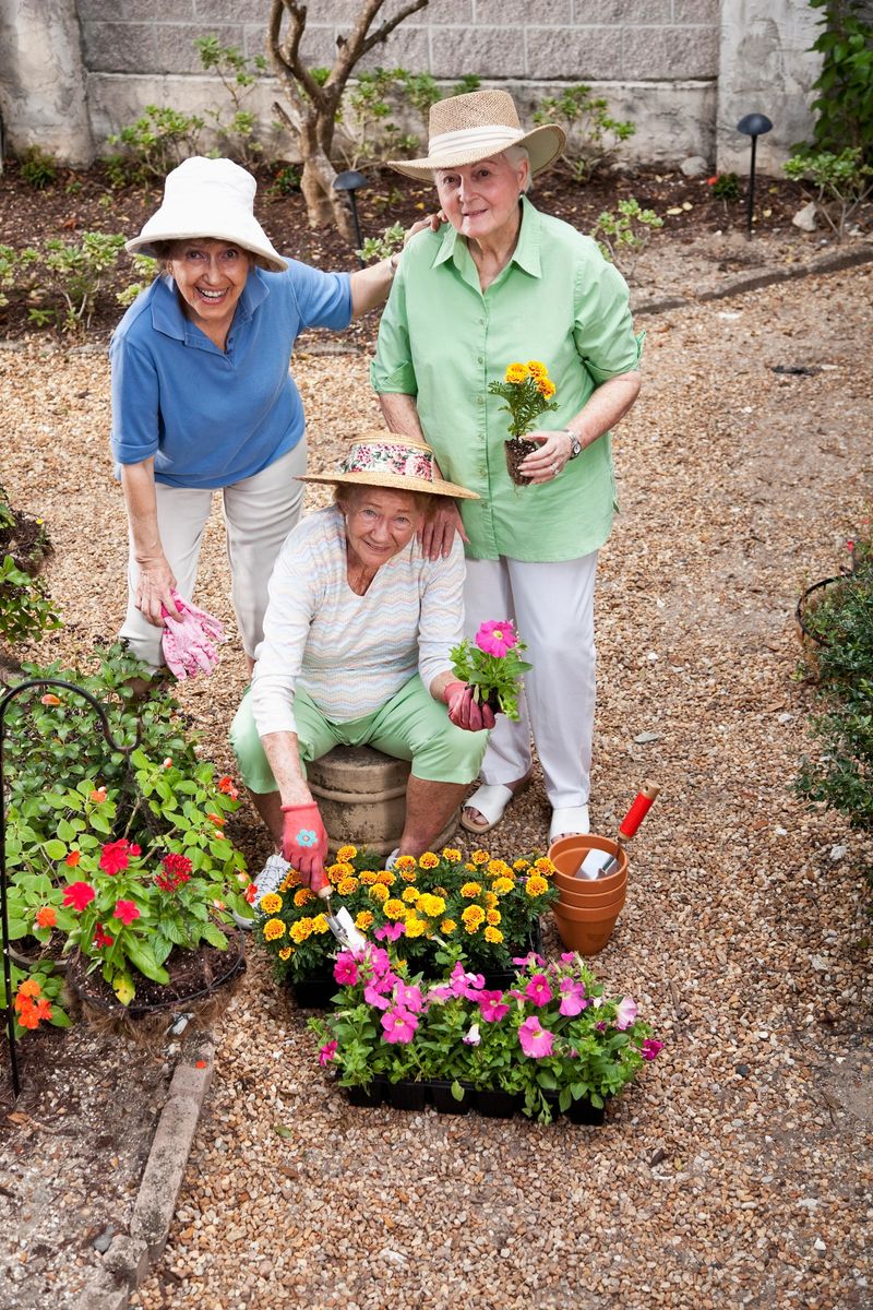 Group of elderly women (80s) gardening together, laughing and having fun.