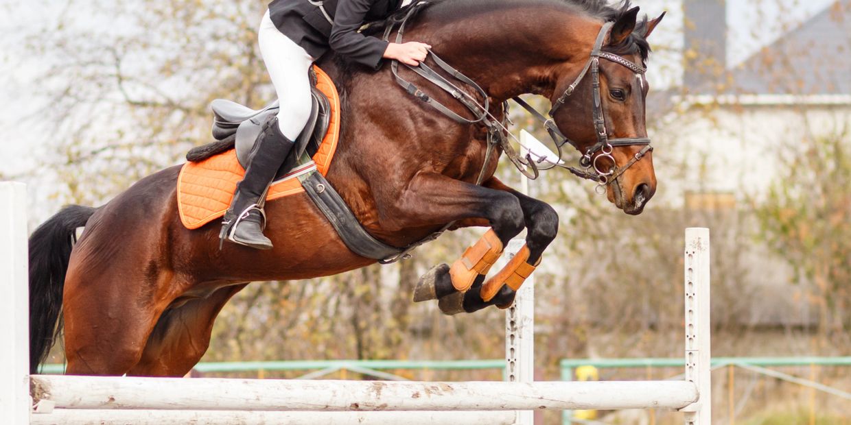 Horse and rider jumping over a hurdle during an equestrian event.