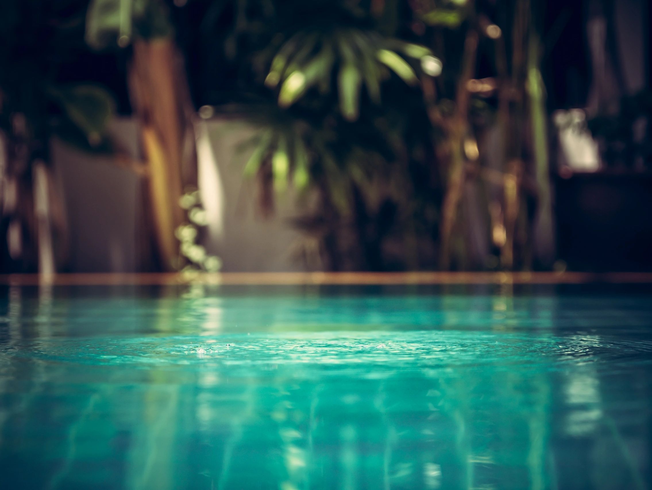 Close-up of a tranquil pool with blurred tropical plants in the background.