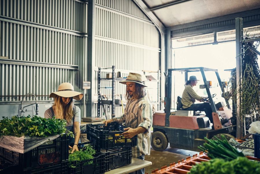 AI for Horticultural Market Access in Australia (2026)