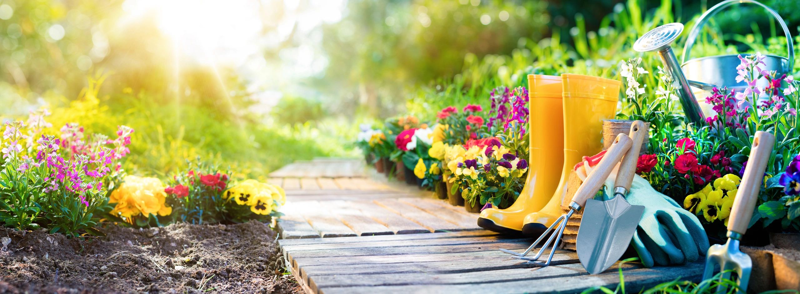 Landscaping Gardening La Mirada thumbnail