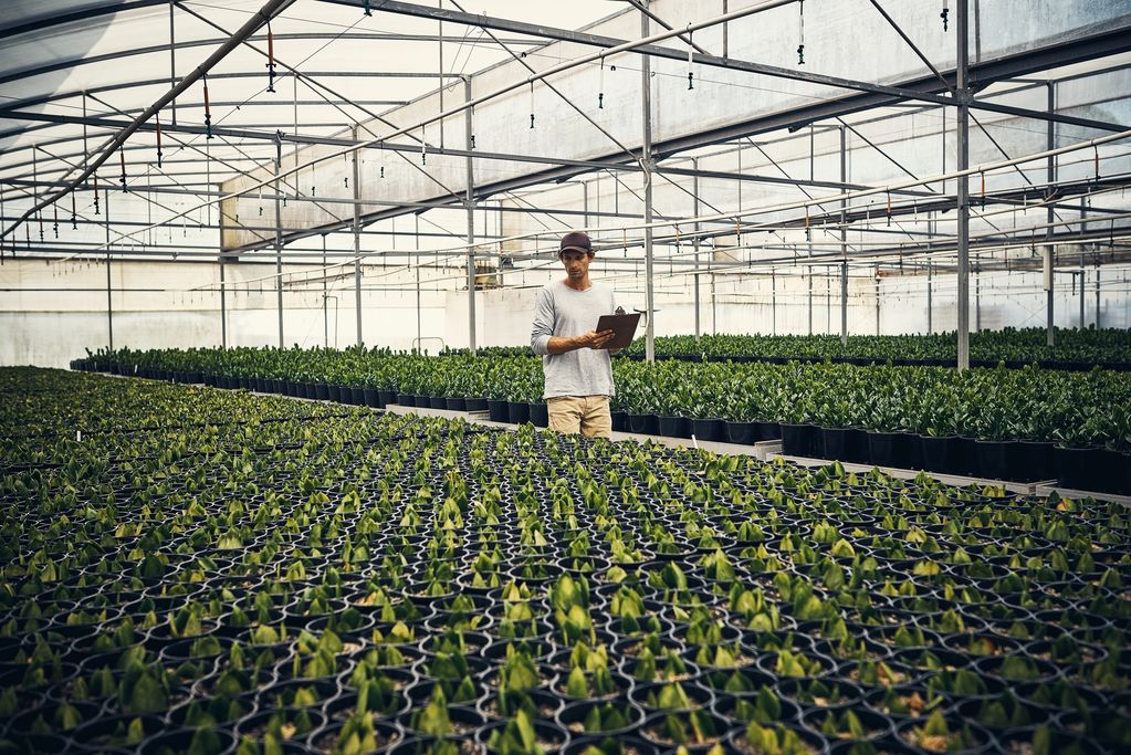 ML-ECOMMERCE supplies fresh and high-quality farm products sourced directly from trusted farms. Our 