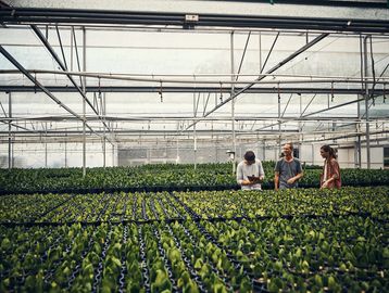 Group of people working in greenhouse under shade curtains