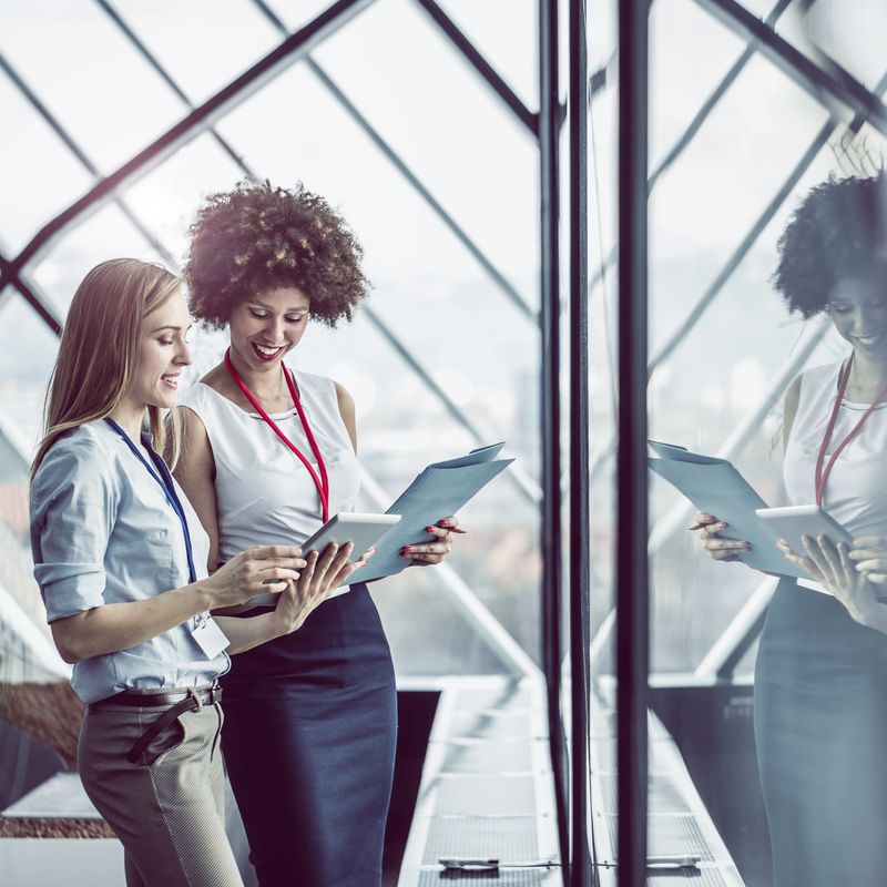 Business People Having a Meeting in the Board Room
