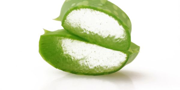 Close-up of a fresh aloe vera leaf cut in half.