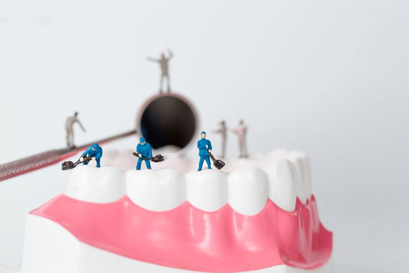 miniature people to clean tooth model on white background