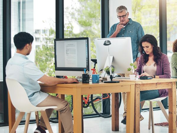 People working intently at computers in a modern office space with large windows. Learn technology. Setup my business operations. Wilmington, NC