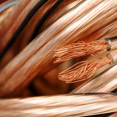 Close-up of copper wires with clear insulation.