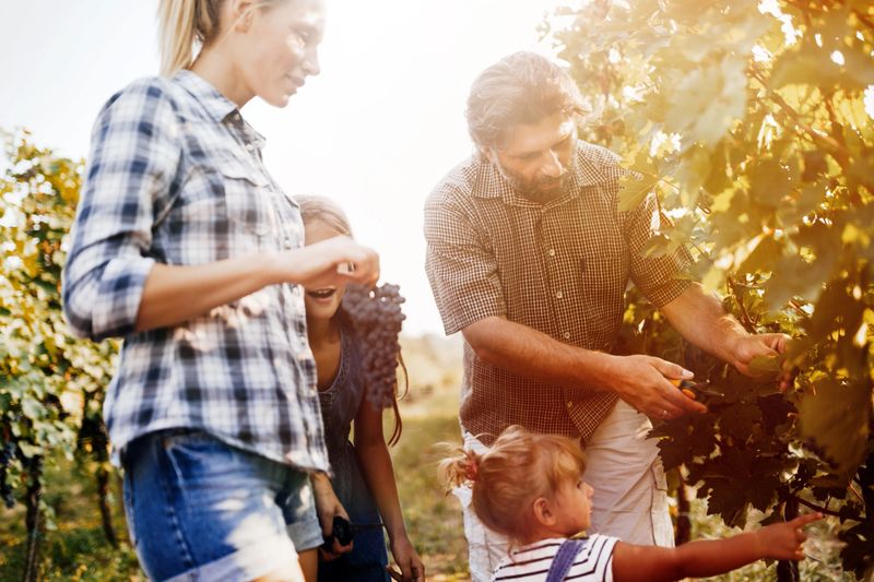 Winemaker family happy together in vineyard before harvesting