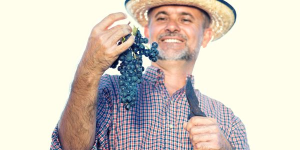 Man holding a bunch of grapes and a knife.