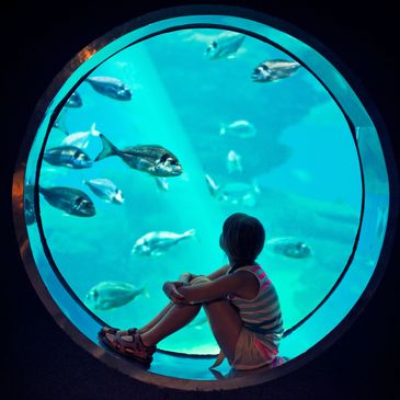 Child watching fish through a circular aquarium window.