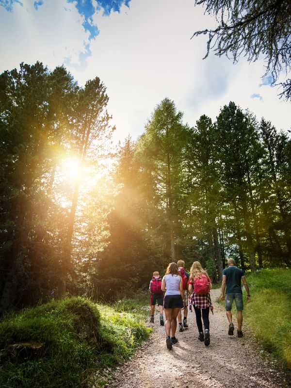 Group hiking on a forest trail with sunlight filtering through trees.