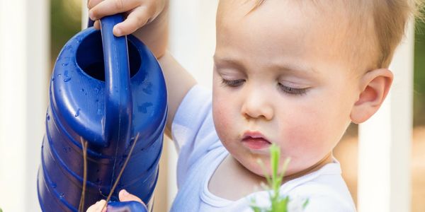 Toddler carefully waters plants with a blue watering can outdoors.