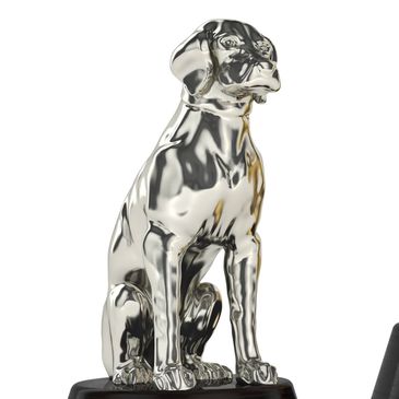 Silver coloured dog sitting down