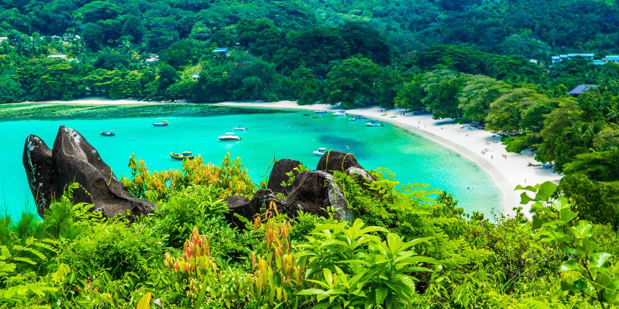 Tropical beach with turquoise water and lush greenery.