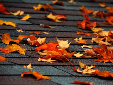 Fall leaves scattered on a rooftop.