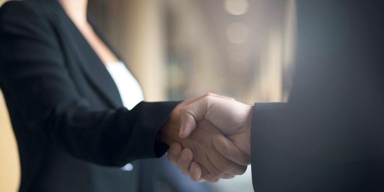 Business handshake between two professionals.