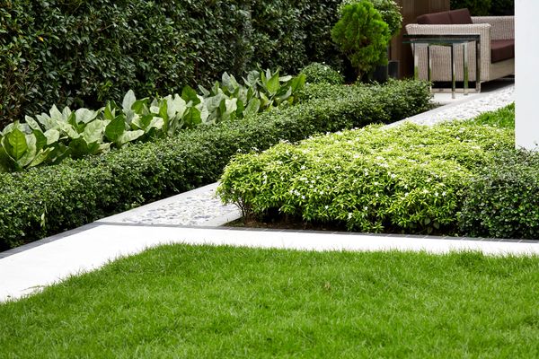 Premium Sod Installation