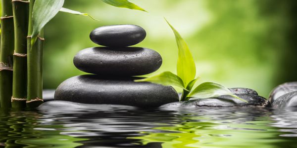 Balanced black stones, green bamboo, and leaves reflected in tranquil water.