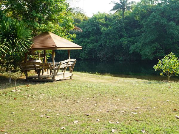 Scenic nature setting at NettieBay Lodge