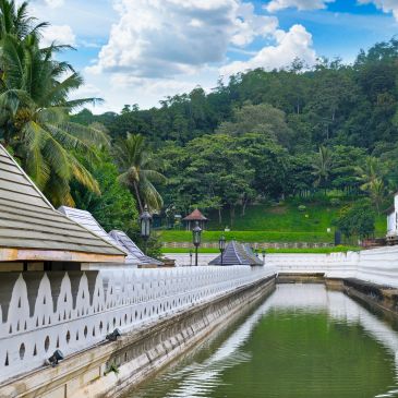 Serene water channel with white bridge and lush greenery.