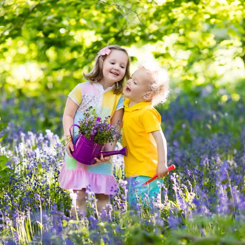 Kids gardening. Children play outdoors in bluebells meadow. Little girl and boy, brother and sister, work in the garden, planting bluebell flowers, watering blue bell flower bed. Family fun in summer.