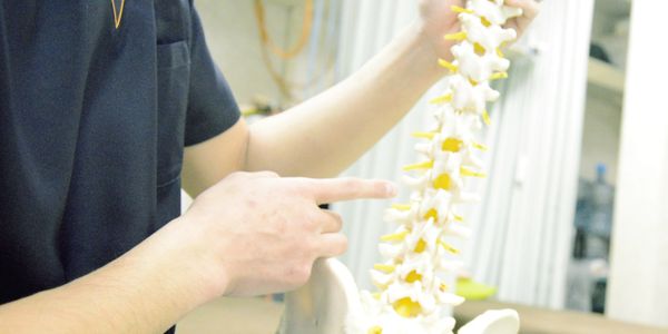 Person pointing at a model of a human spine in a medical setting.