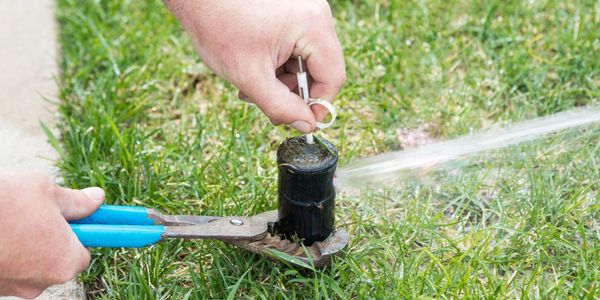 Adjusting a lawn sprinkler with pliers on green grass.
