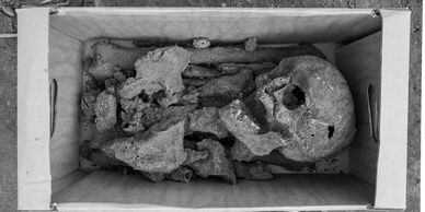 Ancient human skeleton remains in a wooden box.