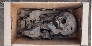 Ancient human skeleton remains in a wooden box.