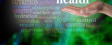 Gut Health Support