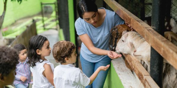 Kids celebrating birthday with goats