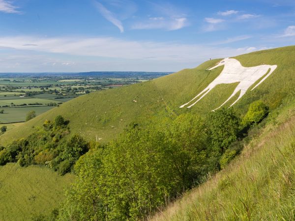 The white horse of Wiltshire, located in Westbury
