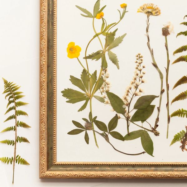 Elegant gold frame with pressed greens & flowers in an elegant arrangement. 