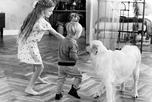 Children playing with a dog indoors.