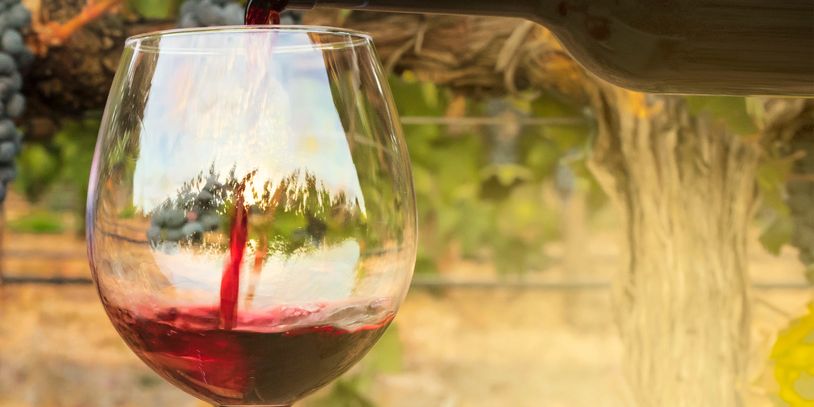 Red wine being poured into a glass outdoors near grapevines.