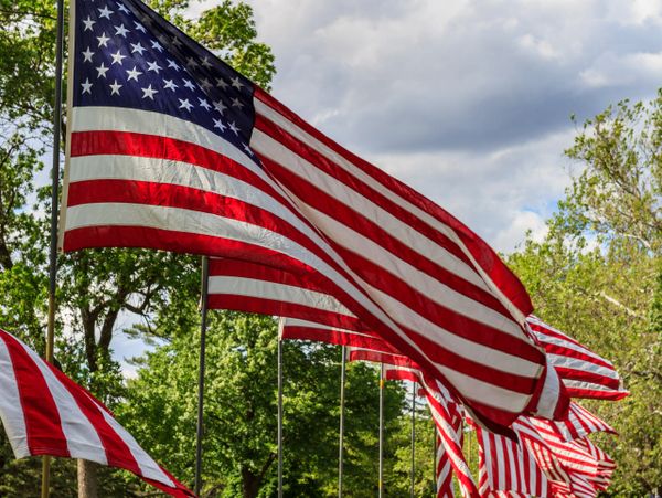 Row of American flags waving in a green park under a cloudy sky.