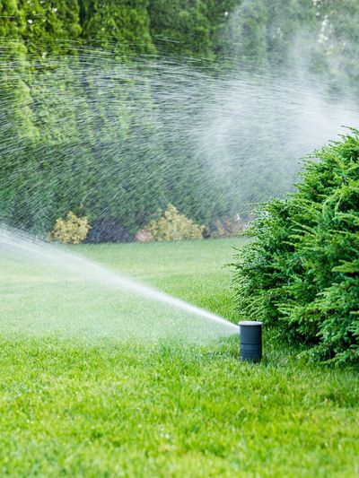 Automatic sprinkler watering a green lawn and bushes.