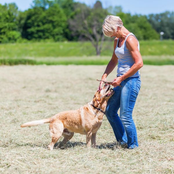 A woman playing tug-of-war with her dog outdoors.