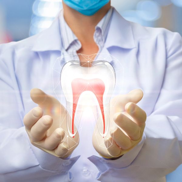 Dentist holding a glowing 3D tooth model with internal structure.