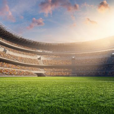 A large, sunlit football stadium filled with cheering fans.