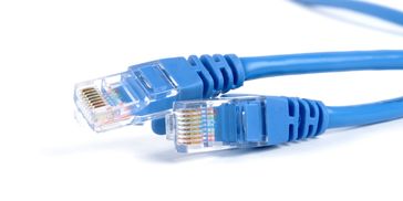 Close-up of two blue Ethernet cable connectors on a white background.