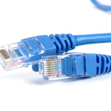 Close-up of two blue Ethernet cable connectors on a white background.