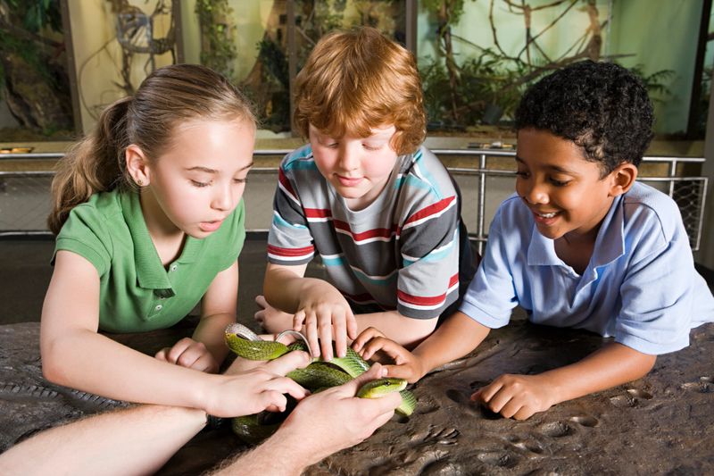Kids touching snake
