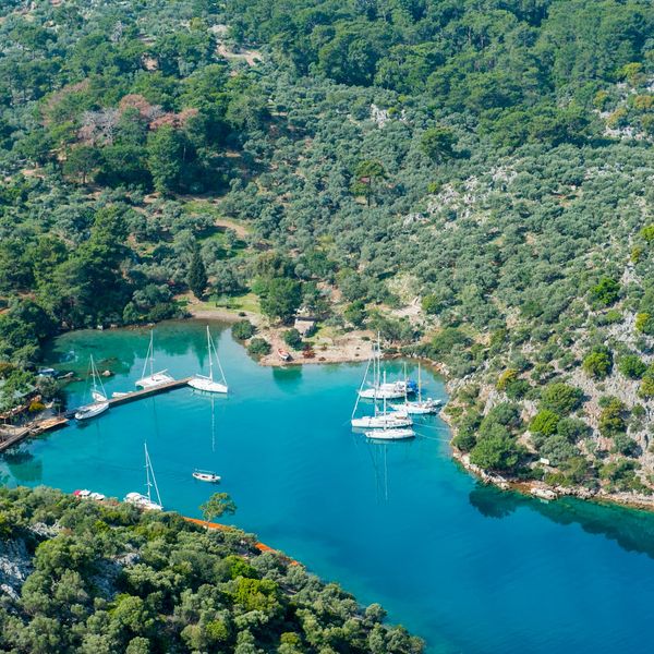 Yemyeşil tepelerle çevrili, yelkenli teknelerin bulunduğu sakin bir koy.