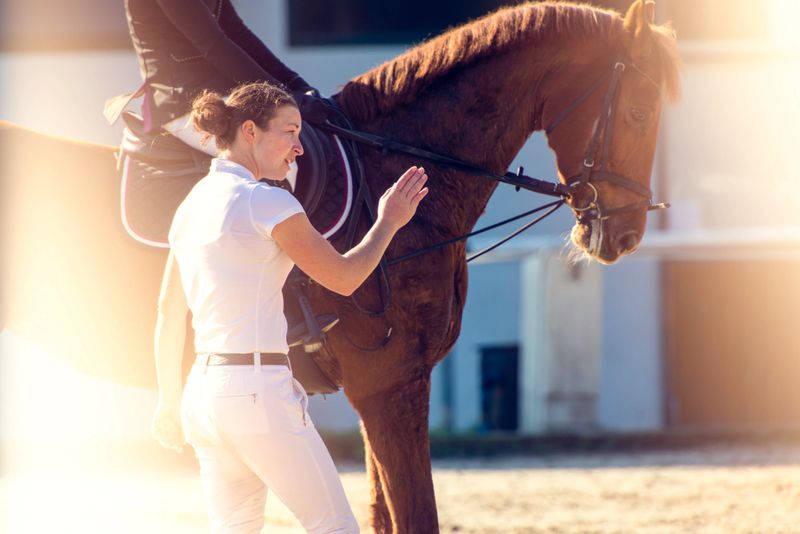 Side view of a standing mentor of horseback riding with unrecognizable student sitting on a horse.