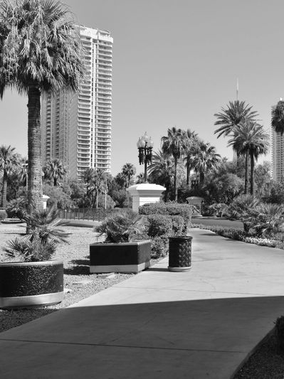 Summerlin Property